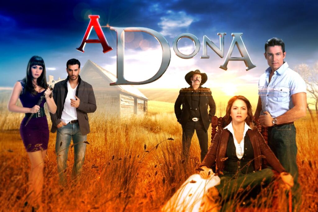 Novela A Dona
