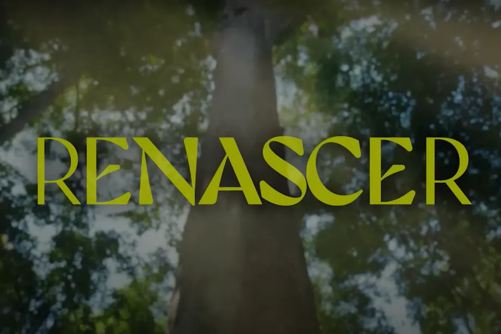 Resumo da novela Renascer