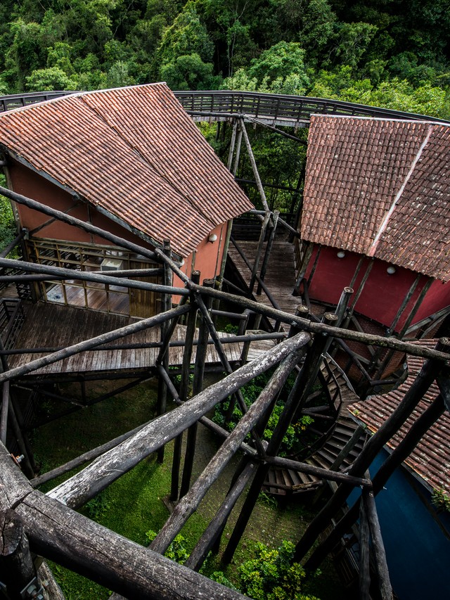 Bosques de Curitiba são ótimas opções de passeio