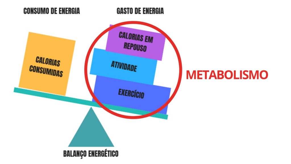 Como emagrecer sem fazer dieta?