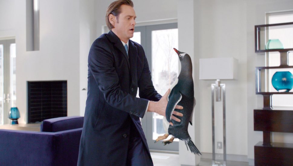 os pinguins do papai