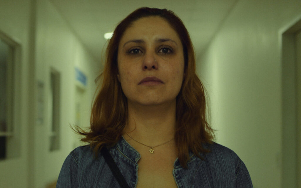 filme ursa ganha premio em festin