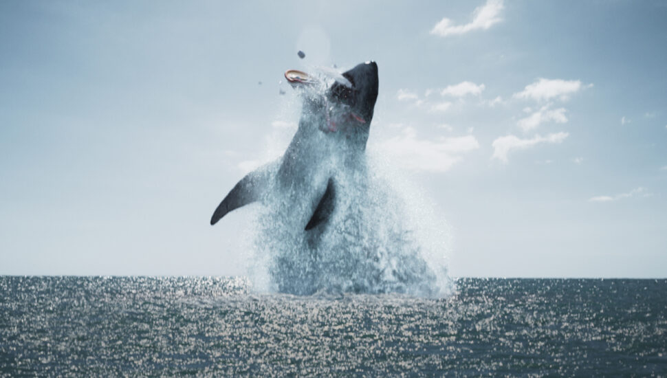 o demonio dos mares saiba sobre a lenda