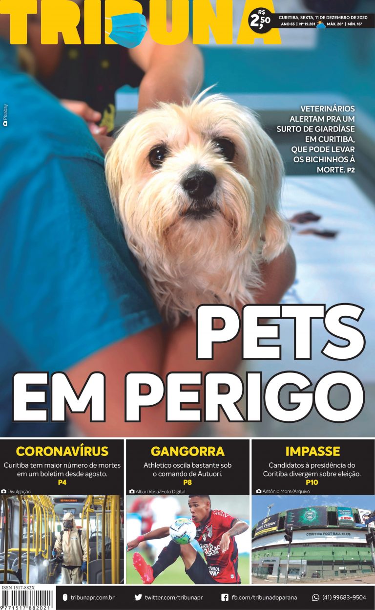 Edição 11/12/20