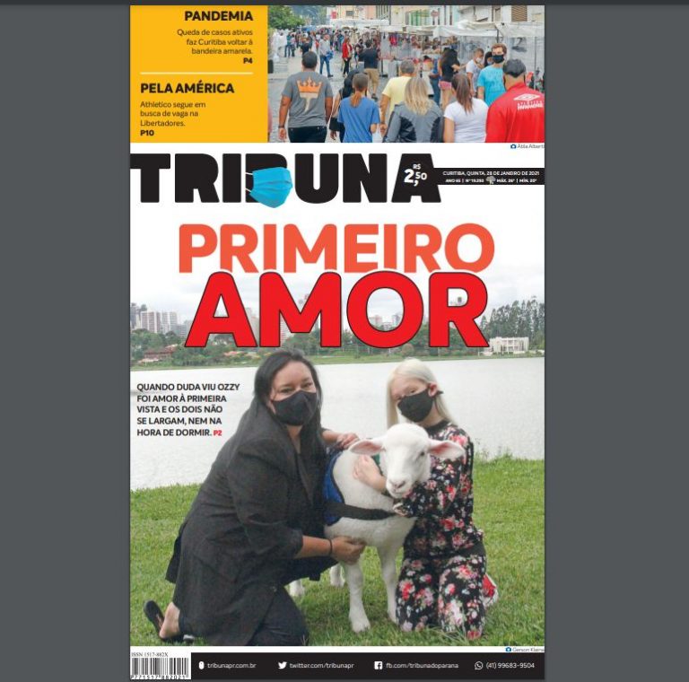 Edição 28/01/21