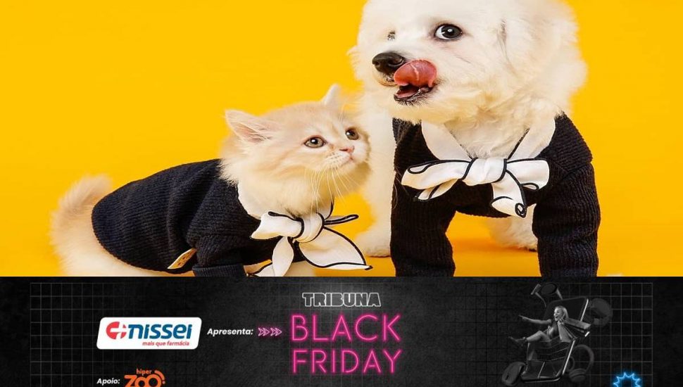 black-friday-hiper-zoo