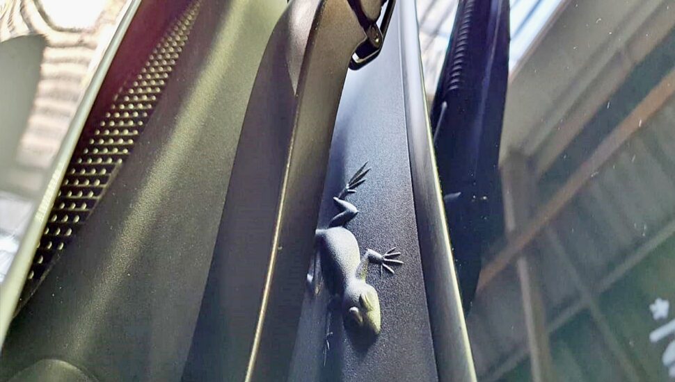 Salamandra e outros animais no Jeep Renegade e Compass? Conheça os Easter Eggs