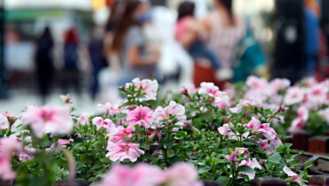 Quer economizar e aproveitar o lado incrível da cidade? Confraria041 está com vagas abertas