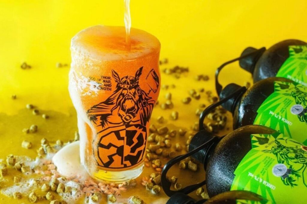 Shopping da RMC promove Encontro das Cervejarias no Dia dos Pais