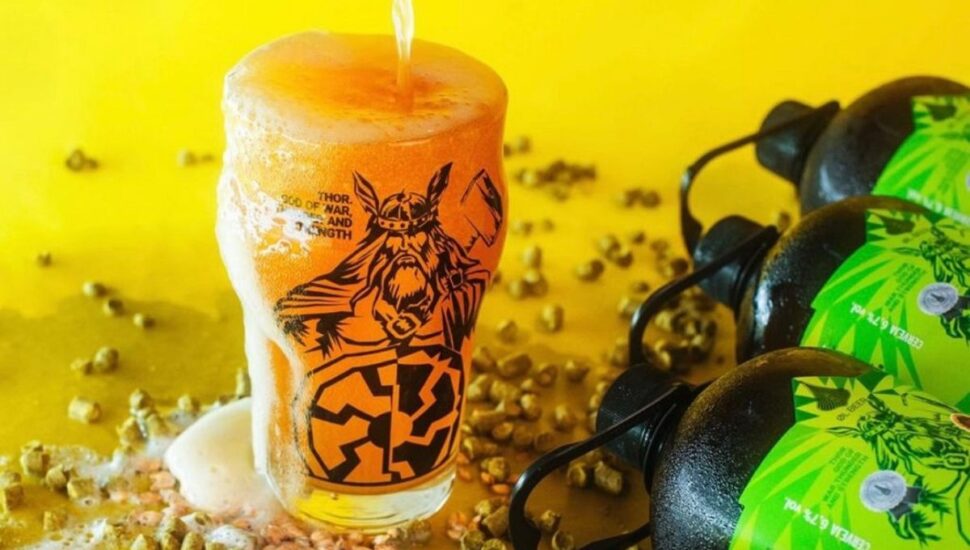 Shopping da RMC promove Encontro das Cervejarias no Dia dos Pais