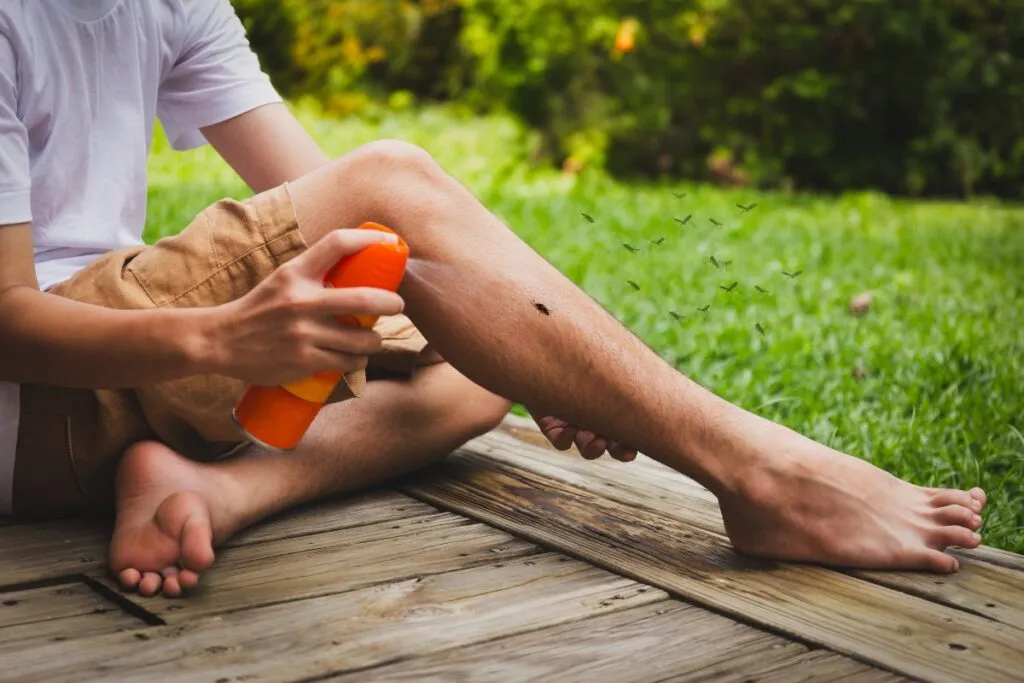 Dengue: de repelentes à telas; veja como se proteger do mosquito