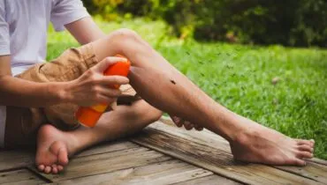 Dengue: de repelentes à telas; veja como se proteger do mosquito