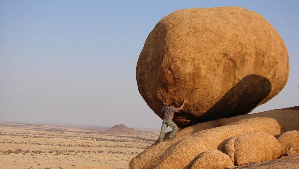 Resiliência. Foto: Vicky Sim / Unsplash