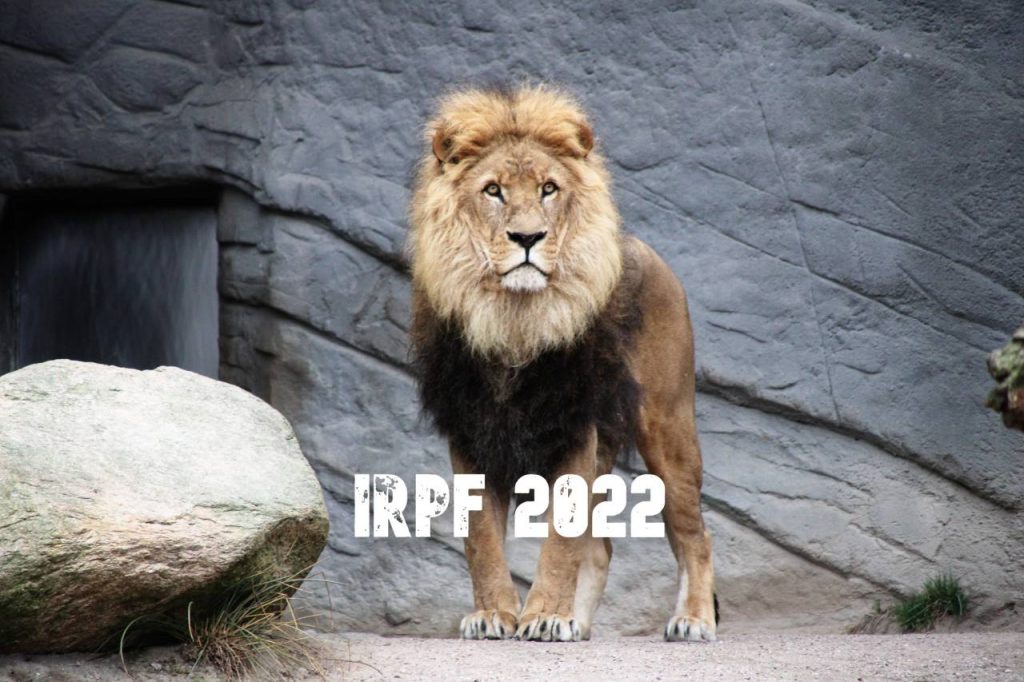 Como se preparar para a declaração do imposto de renda 2022?