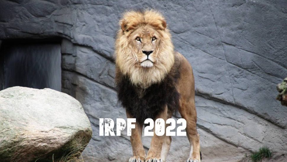 Como se preparar para a declaração do imposto de renda 2022?