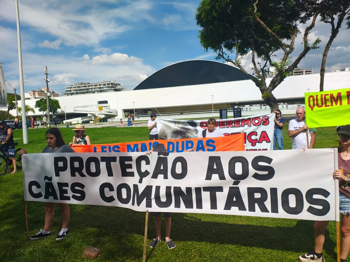 Manifestações em Curitiba pedem justiça por cães vítimas de maus-tratos e leis mais rigorosas