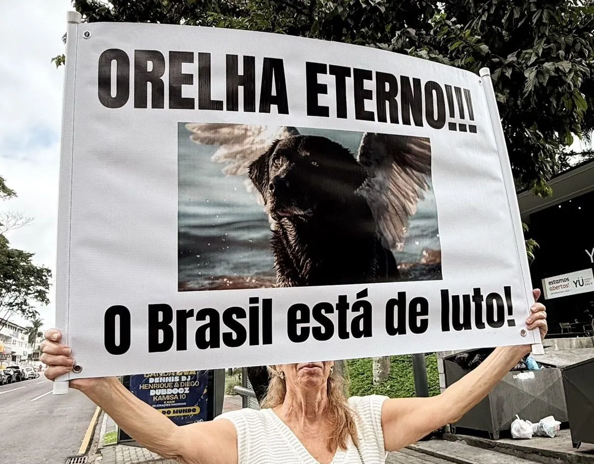 Governo Federal aumenta multas por maus tratos a animais