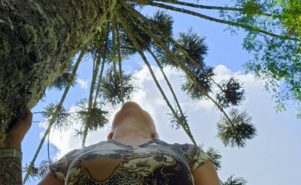 Mulher em Curitiba olha para um pinheiro
