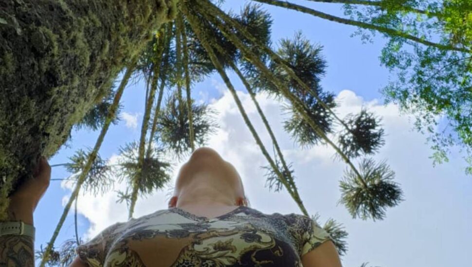 Mulher em Curitiba olha para um pinheiro