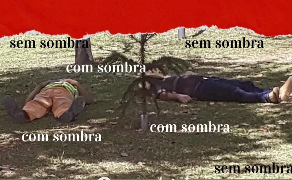 Na imagem, pessoas e trabalhadores descansam deitados no chão, sob a sombra de uma árvore.