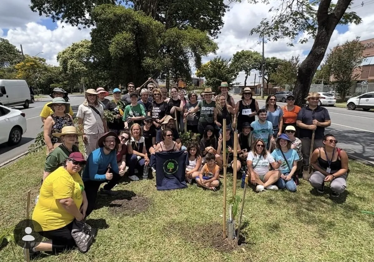 Curitiba ganha novo fôlego: Coletivo 1 Milhão de Árvores mobiliza replantio em avenida
