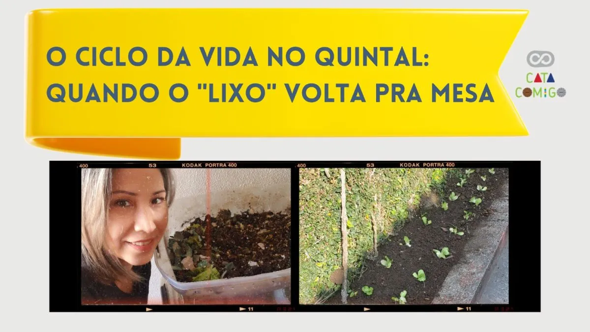 O ciclo da vida no quintal: quando o 