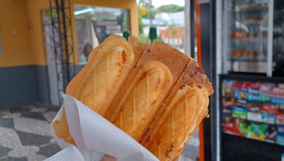 crepe terminal cabral