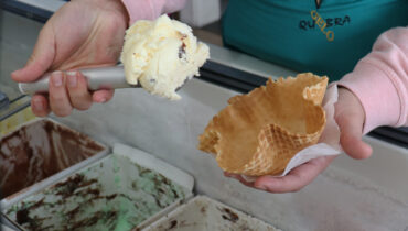 sorveteria quebra gelo